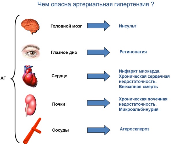 Проблемы с сосудами. Симптомы, лечение, диагностика вен головного мозга, шеи, ног, конечностей