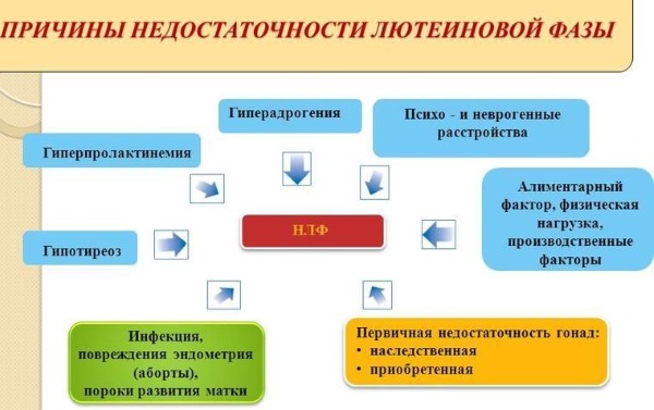 Прогестерон. Норма у женщин, что это, за что отвечает, цикл, нехватка, как повысить, избыток, причины и последствия