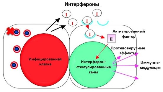 Противовирусные препараты для детей. Список при ротовирусе, ветрянке, ангине, бронхите, ОРВИ, гриппе