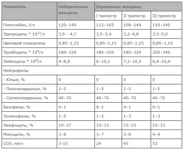 Сегментоядерные нейтрофилы понижены, повышены. Норма у ребенка, взрослого, женщин при беременности. Причины отклонений и что делать