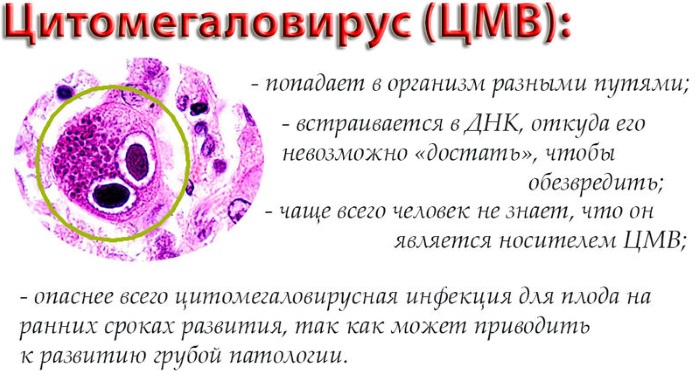 Симптомы венерологических заболеваний у женщин. Обследование и диагностика, инкубационный период, лечение