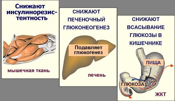 Сиофор 500. Инструкция по применению для похудения, при диабете, поликистозе яичников. Состав, побочные действия, аналоги. Противопоказания