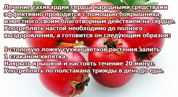 Тахикардия. Симптомы и лечение пароксизмальной, желудочковой, наджелудочковой, синусовой. Диагностика, что делать нельзя