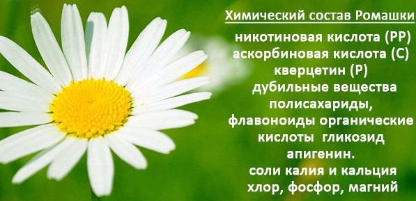 Цистит у женщин. Симптомы и лечение народными средствами, антибиотиками, лекарствами. От чего возникает, последствия