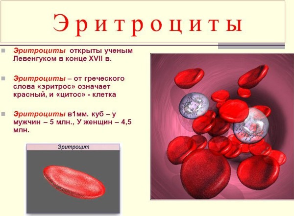 Цитология в гинекологии. Что это такое, виды. Как берут мазок, сколько дней делается, расшифровка