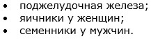 Тело человека. Органы, расположение со спины, в брюшной полости, левого подреберья, функции. Анатомия, схема с описанием мужчины, женщины, детей