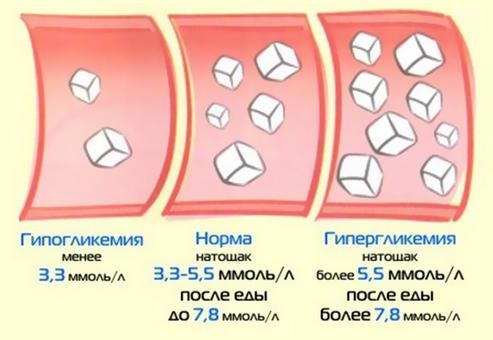 Биохимические исследования крови. Расшифровка, норма у взрослых, детей