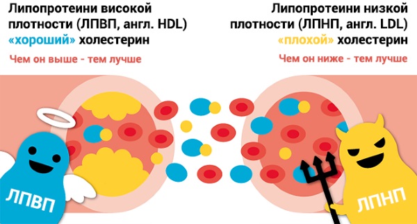 Биохимические исследования крови. Расшифровка, норма у взрослых, детей