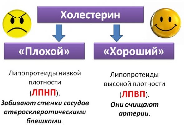 Стол 10 при повышенном холестерине