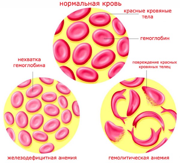 Допегит. Инструкция по применению, дозировка, противопоказания. Цена, отзывы