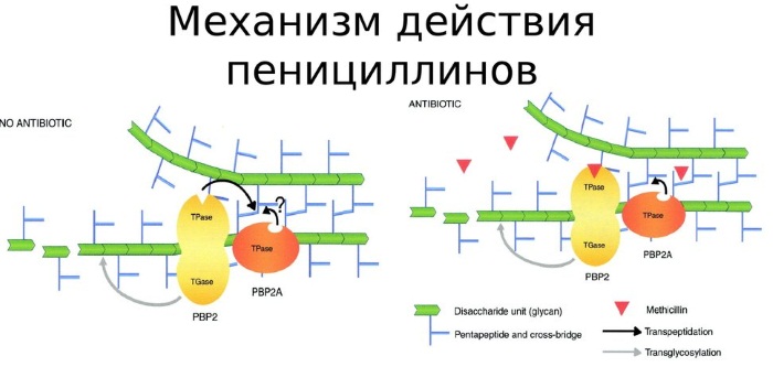 Флемоксин Солютаб. Инструкция по применению для детей. От чего антибиотик, аналоги, цена