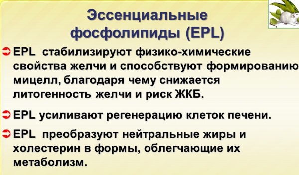 Гепатопротекторы. Список препаратов с доказанной эффективностью для взрослых, детей. Цена