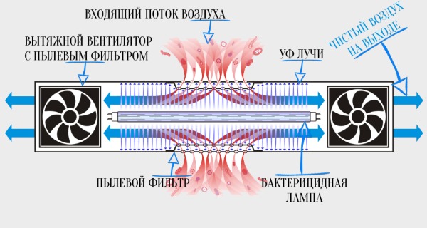 Кварцевая лампа для дезинфекции помещения: ультрафиолетовые, бактерицидные, озоновые. Виды, цены