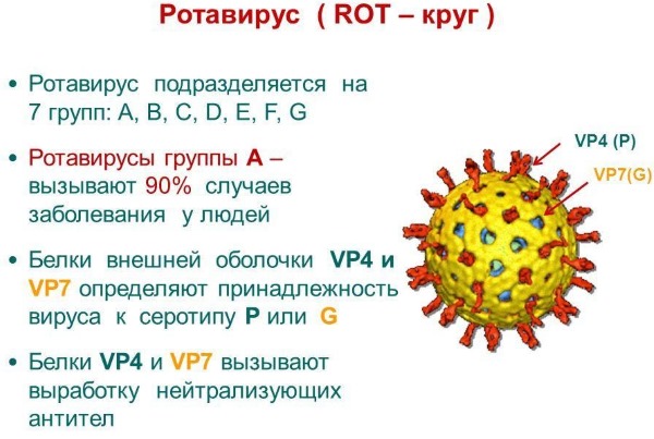 Лечение ротовирусных инфекций у взрослых. Препараты антибиотики, народные средства