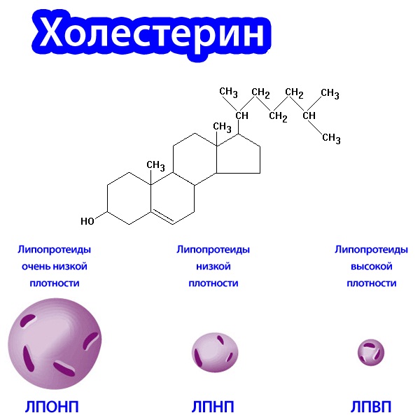 Лекарства от повышенного холестерина в крови. Препараты нового поколения, БАДы, таблетки для женщин и мужчин. Список, цены