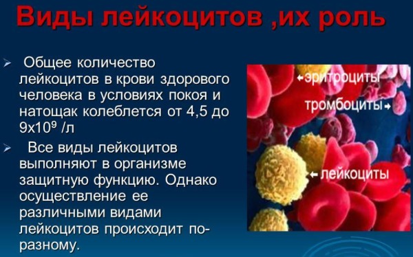 Лейкоциты в крови у ребенка повышены, пониженные. Общий анализ, норма содержания. Как поднять, понизить уровень