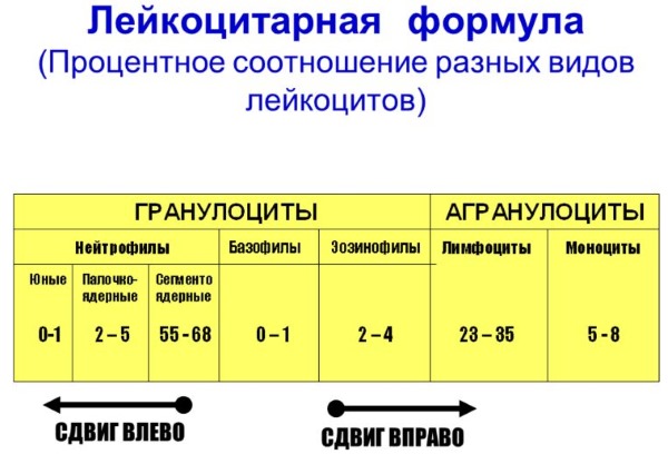 Лейкоциты в крови у ребенка повышены, пониженные. Общий анализ, норма содержания. Как поднять, понизить уровень