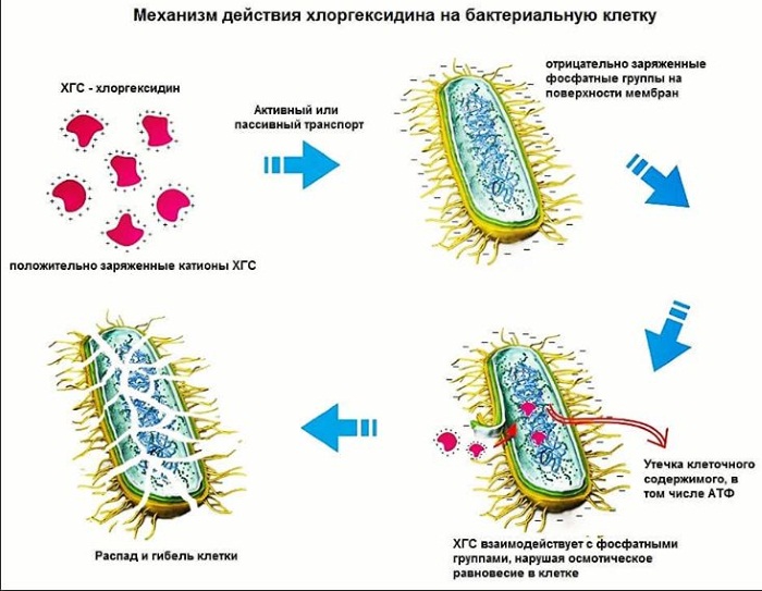 Лучшие средства от прыщей на лице для жирной, чувствительной, сухой кожи. Рейтинг, недорогие, эффективные, быстрого действия