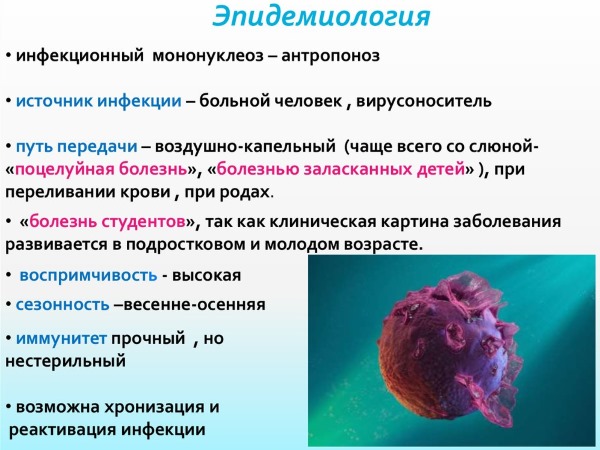 Мононуклеоз. Симптомы и лечение у взрослых: инфекционный, хронический, атипичный. Чем опасен, как передается, последствия