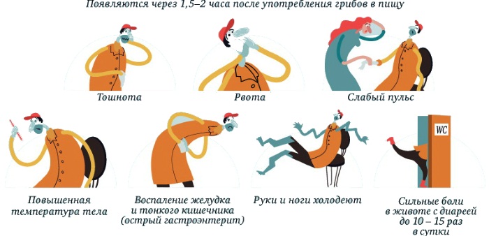 Отравление пищей. Симптомы и лечение у детей, взрослых в домашних условиях. Питание