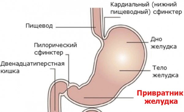 Отрыжка воздухом после еды. Причины и лечение народными средствами, лекарства, если сильная, без запаха, тошнота, ком в горле