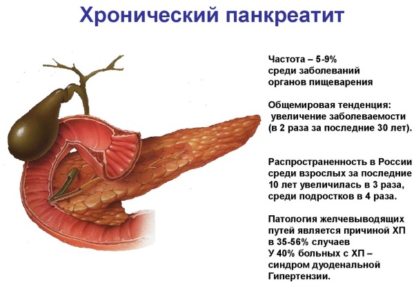 Диета При Хроническом Панкреатите Поджелудочной Железы Что Нельзя