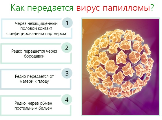 Папилломы. Лечение в домашних условиях препаратами, чистотелом, народными средствами, мазями на шее, теле, лице, под мышками