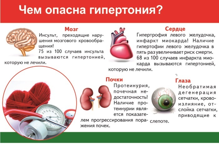 Поджелудочная железа. Лечение народными средствами, травами, диета, питание при диабете, что можно есть