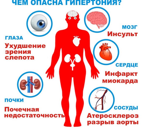 Полезные свойства боярышника. Рецепты, как приготовить и применять настойку, отвар, сироп в народной медицине, кулинарии и косметологии