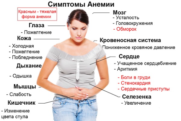 Повышенный аппетит. Причины у женщин перед месячными, при овуляции, заболеваниях, беременности. Признаки, что делать