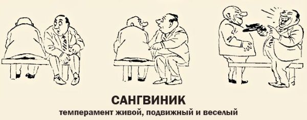 Препарат для улучшения памяти и работы мозга, внимания, остроты ума. Таблетки, витамины: список, цены