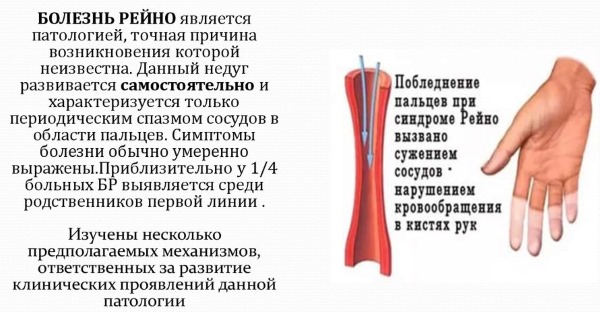 Причины сильного потоотделения (гипергидроза) у женщин по ночам, всего тела, головы, подмышек. Как избавиться, лечение народными средствами, препараты