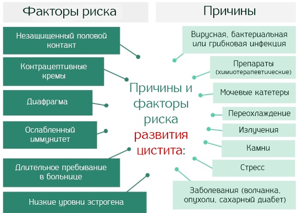 Признаки цистита у женщин. Симптомы, причины и лечение у женщин. Народные средства, препараты в таблетках