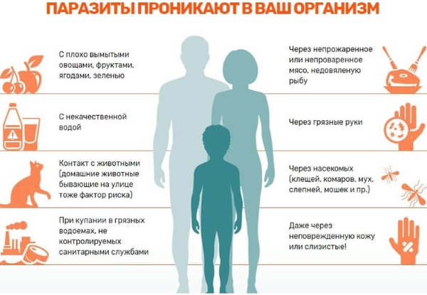 Глисты у человека симптомы и лечение таблетки широкого спектра действия взрослого фото