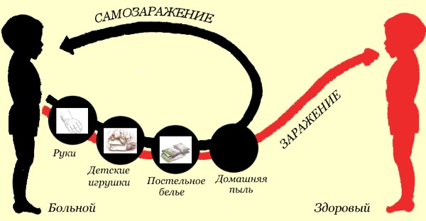 Соскоб на энтеробиоз у детей. Как берут, что показывает гемотест, сколько готовится, срок действия справки