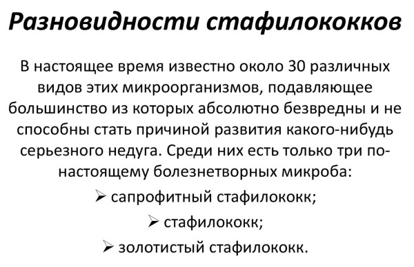 Стафилококк. Симптомы и лечение у взрослых и детей. Препараты и народные средства