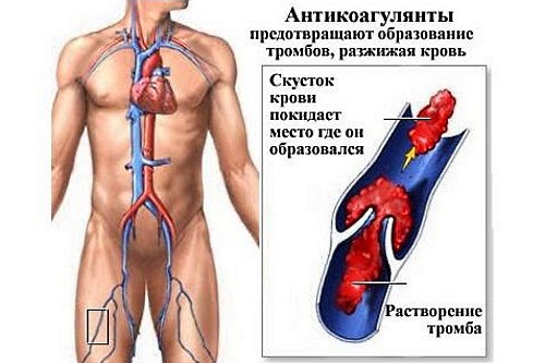 Препараты от сердца без рецептов в таблетках. Список, названия на русском языке. Цены