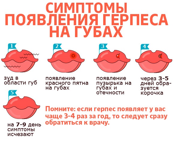 Тетрациклин мазь. От чего помогает, инструкция для наружного применения от прыщей, герпеса, ячменя. Как использовать, хранить после вскрытия