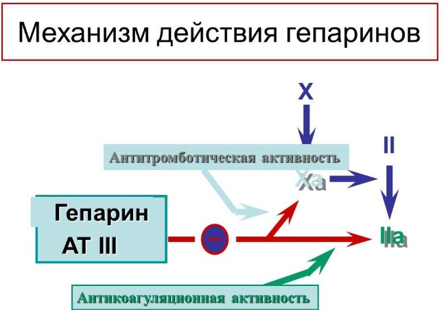 Тромбофлебит нижних конечностей. Симптомы и лечение мазью, народными средствами, препараты, питание. Прогноз