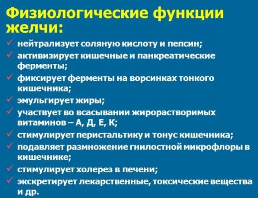 Где находится желчный пузырь у человека фото и как болит признаки у мужчин