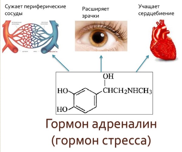 Болит сердце жгет в груди thumbnail