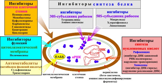 Антибиотики при бронхите у взрослых. Лекарства в таблетках, уколы. Название и описание