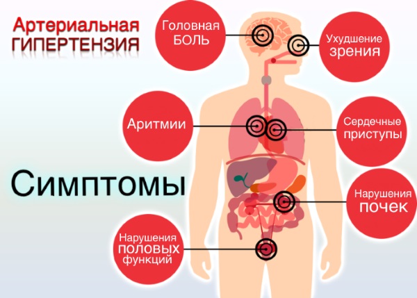 Профилактика гипертонической болезни