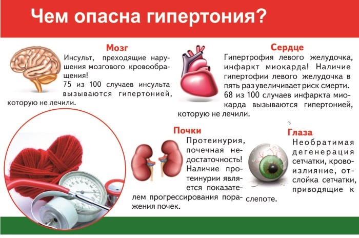 Лопаются сосуды в глазах. Причины, что делать. Как укрепить сосуды: витамины, лекарства, таблетки