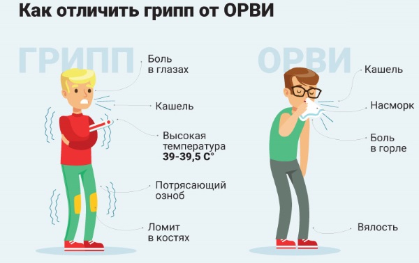 Лимфатические узлы на теле человека. Описание, атлас-схема, за что отвечают, как лечить