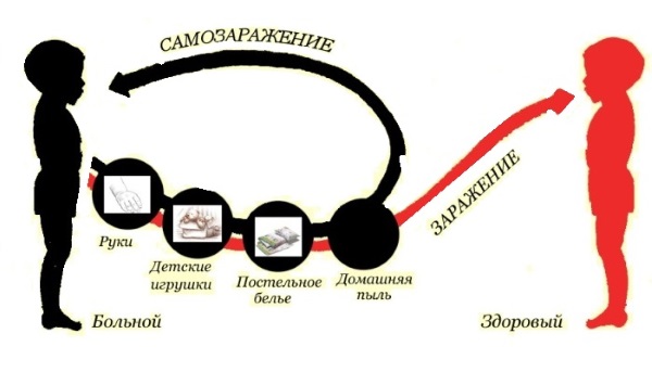 Народное средство от глистов у детей. Тыквенные семечки, полынь, чеснок, мед, лук, касторка