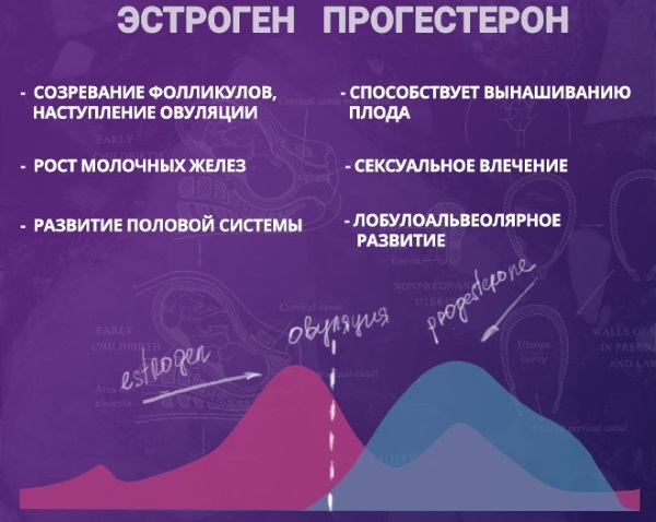 Открытый перелом руки. Первая помощь, сколько заживает