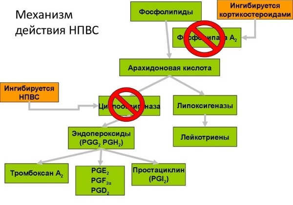 Нестероидные противовоспалительные препараты нового поколения. Список: мази, свечи, таблетки