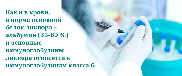 Общий белок в крови. Что это такое. Норма у женщин, мужчин по возрасту. Что значит пониженный, повышенный уровень