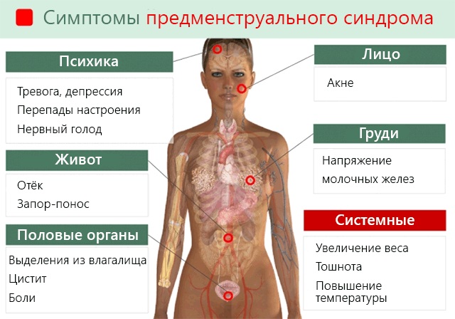 Овуляция у женщин. Признаки после месячных, как высчитать, сколько длится, какие выделения, боли